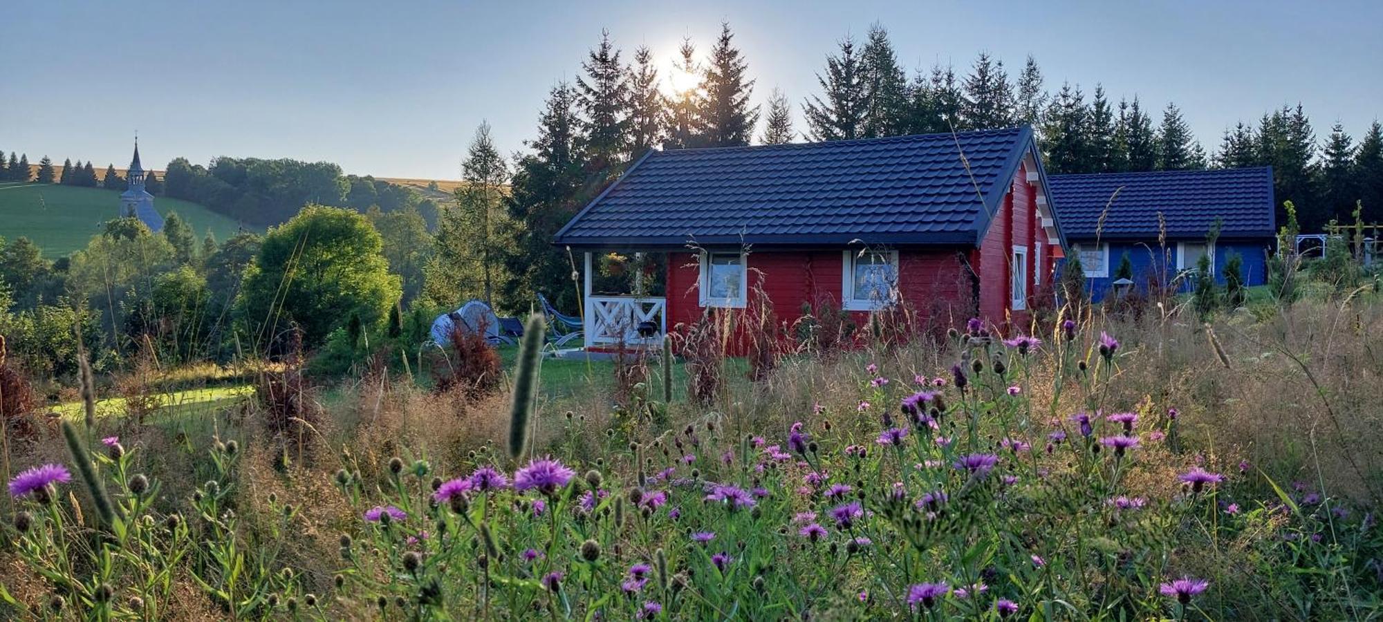 Domki Pod Sudeckim Niebem Villa Duszniki Zdrój Exterior foto